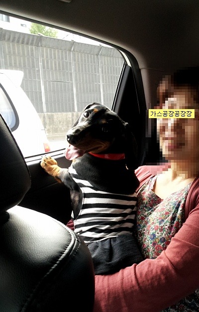 철수와영희 이미지